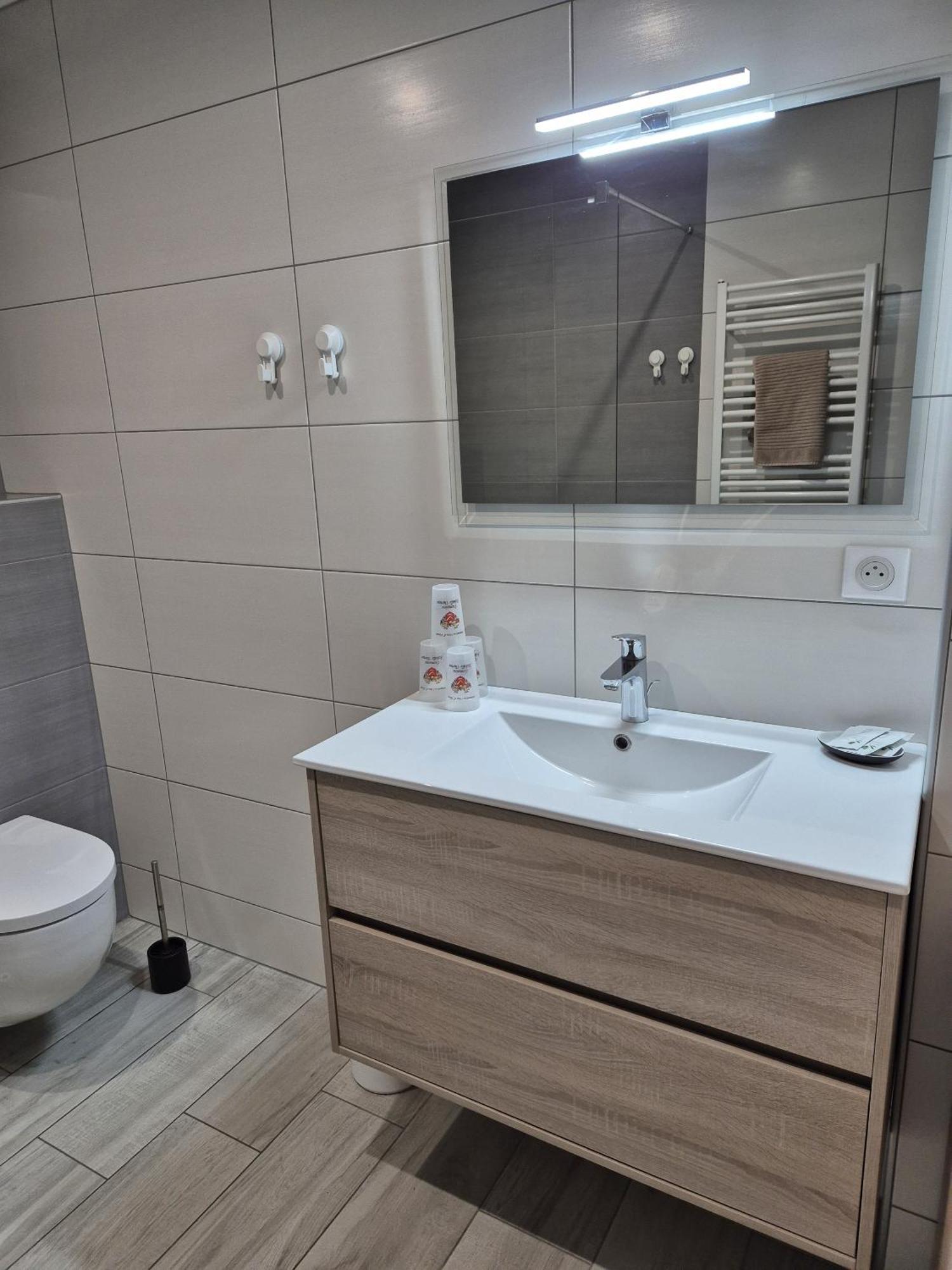 Thirion Apartment Saint-Hippolyte (Haut-Rhin)