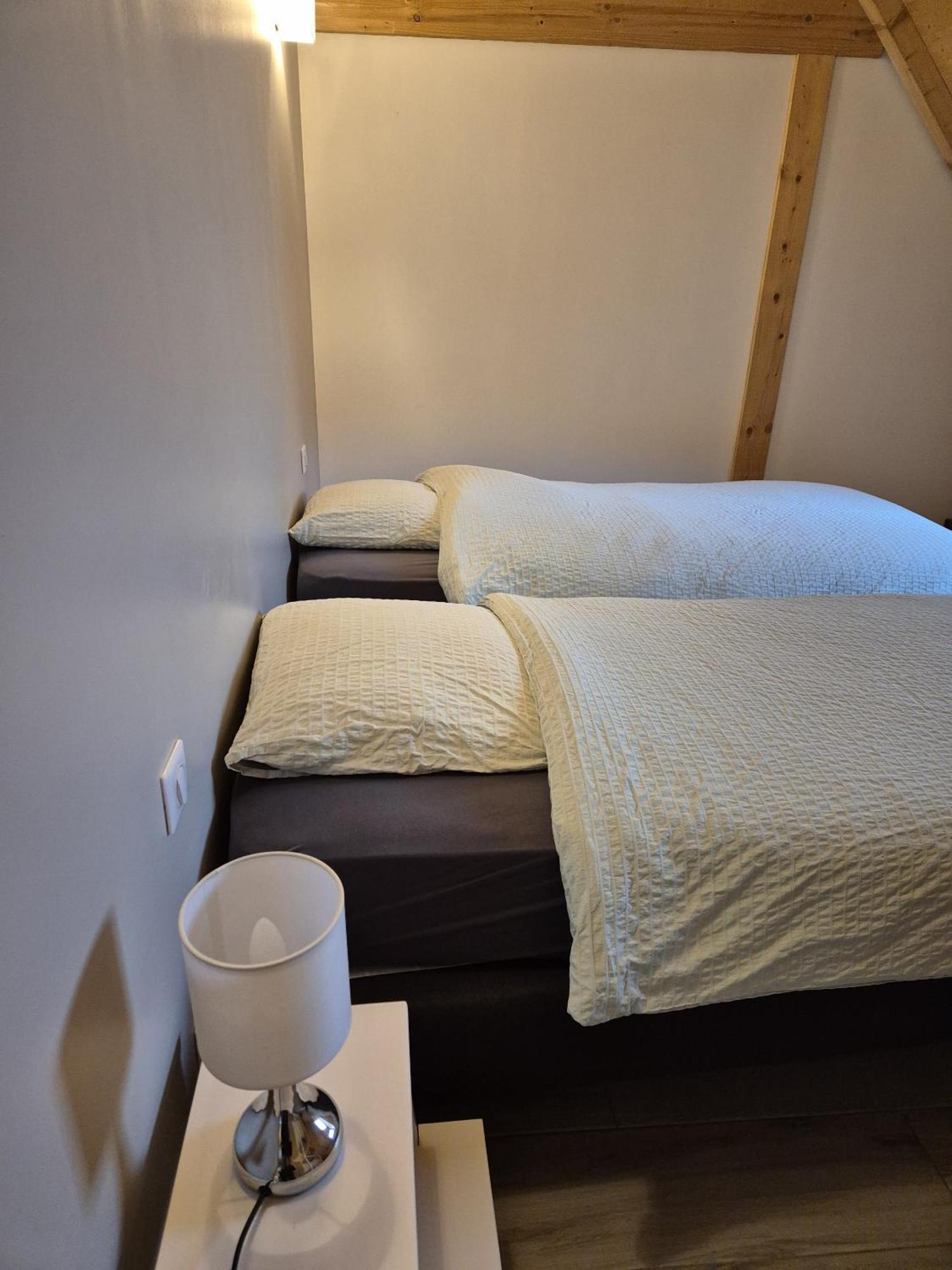 Apartment Thirion *