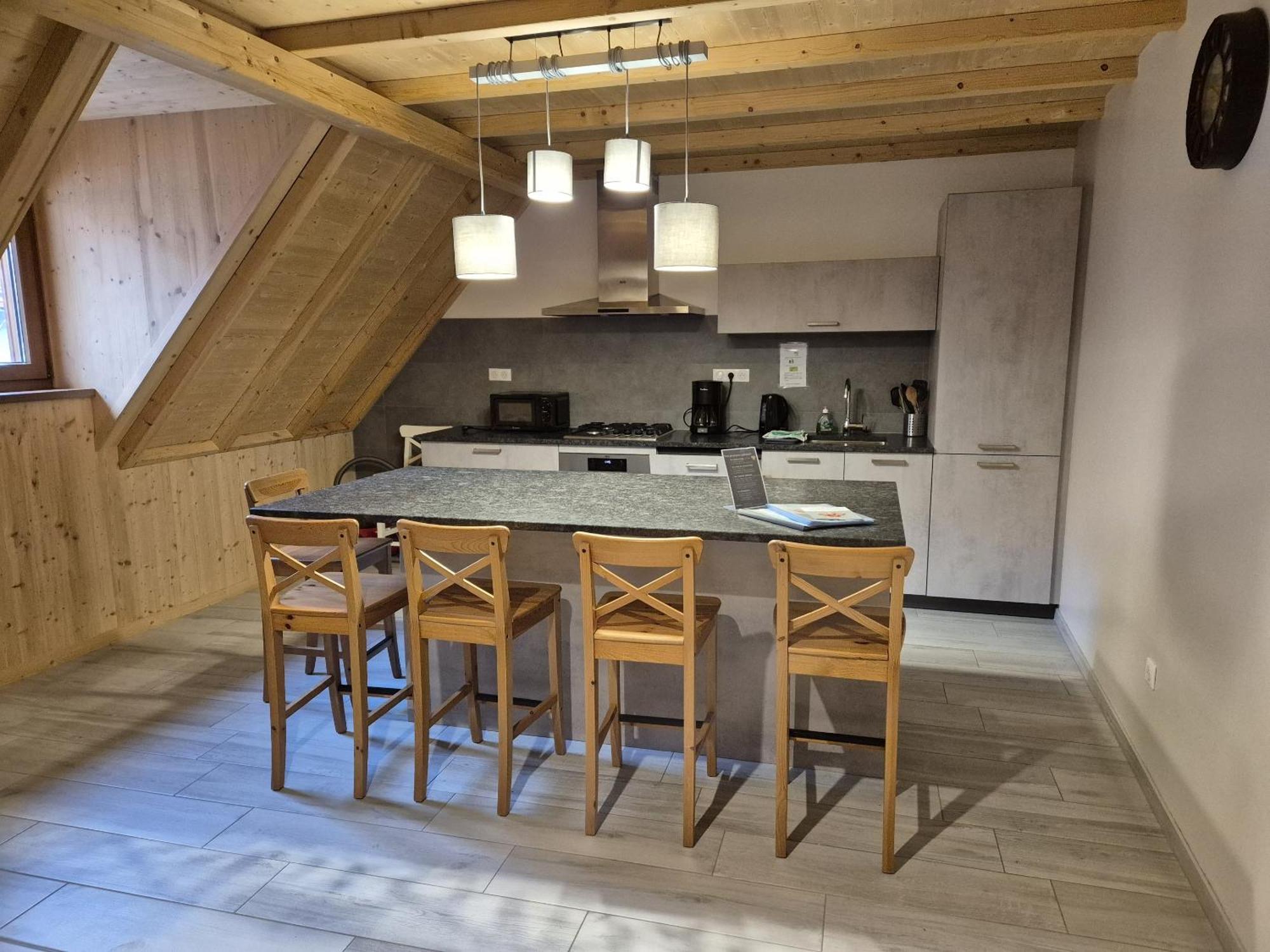 Thirion Apartment Saint-Hippolyte (Haut-Rhin)