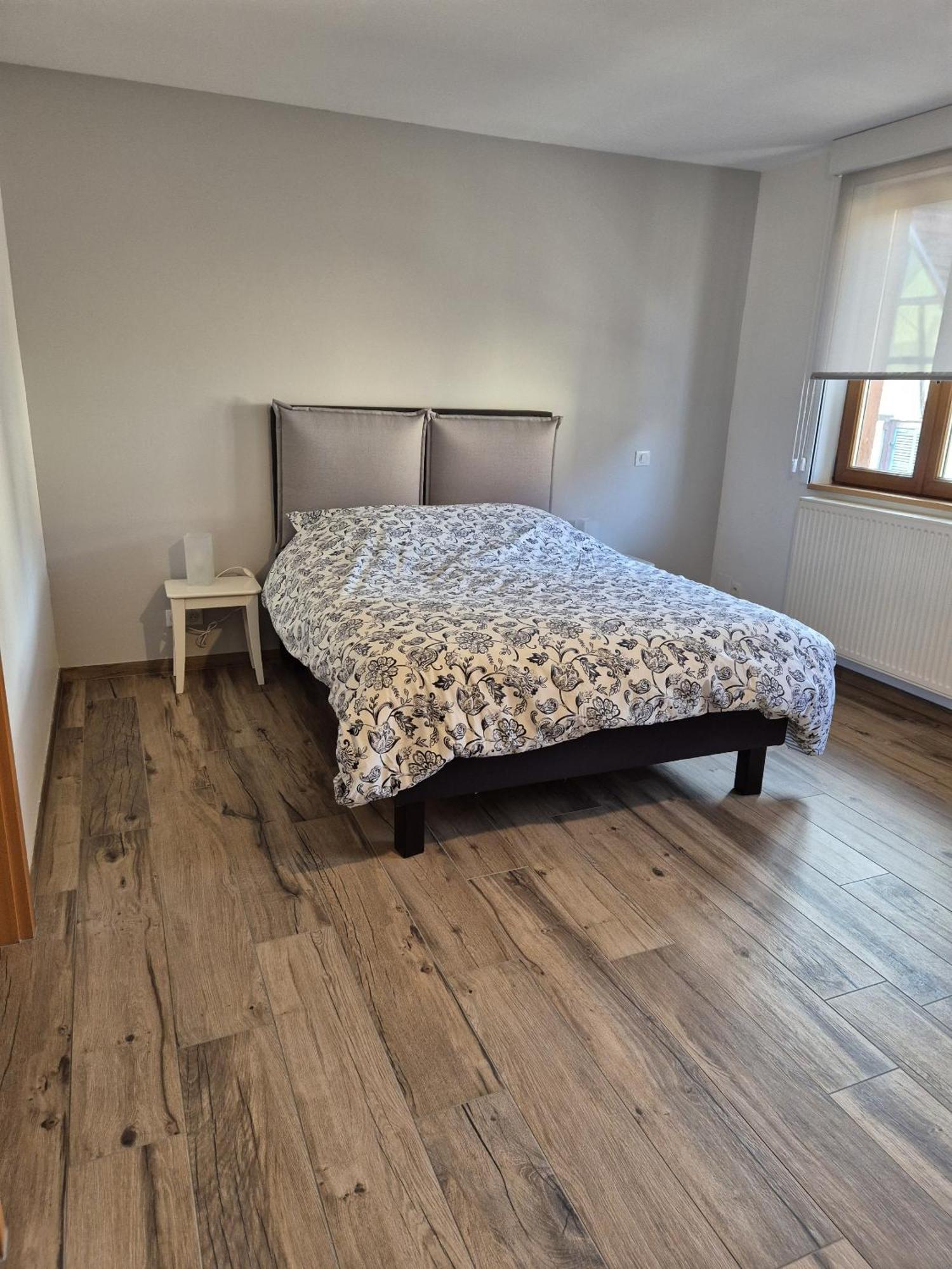 Apartment Thirion Saint-Hippolyte (Haut-Rhin)